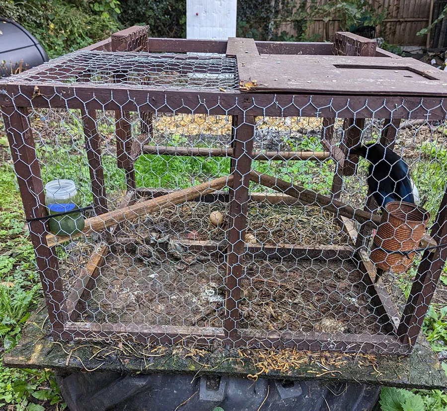 Wolverhampton man trapped wild birds and left them in ‘distressing’ conditions